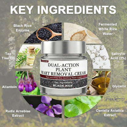 LOVILDS™Black Rice Skin Repair Essence Cream ⚕️ Health Canada Certified Certified (Eliminates warts and skin tags, relieves psoriasis, improves keratin build-up and follicular keratinization, fades pigmentation, sun spots & age spots)